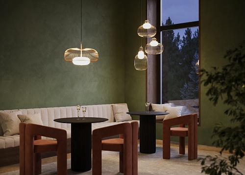 картинка Maytoni Подвесной светильник Левитация / Levitation G9х1