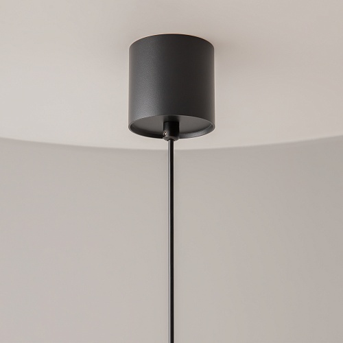 картинка Maytoni Подвесной светильник Вол / Vol 3000К 20Вт