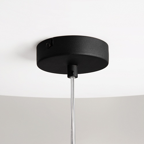 картинка Maytoni Подвесной светильник Дуализм / Duality E27х1