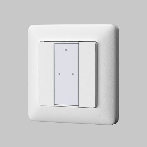 картинка Maytoni Кнопочная настенная панель 2-х клавишная DALI